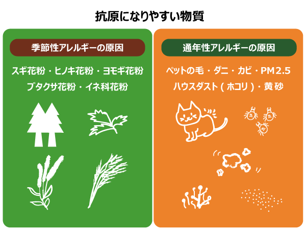 抗原になりやすい物質