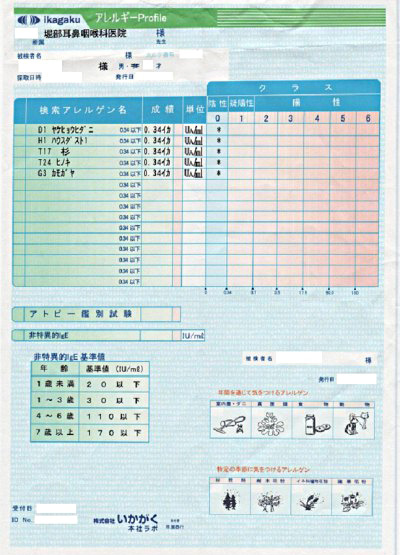 アレルギーのない人の検査結果